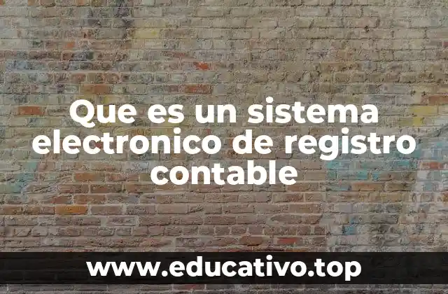 Que es un sistema electronico de registro contable