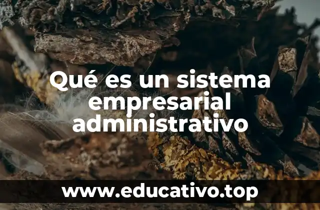 Qué es un sistema empresarial administrativo