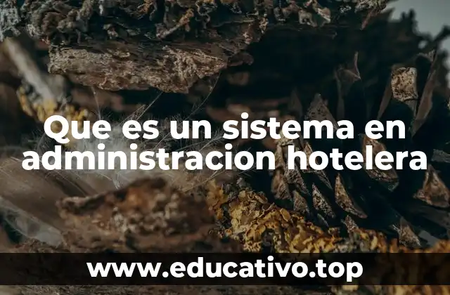 Que es un sistema en administracion hotelera