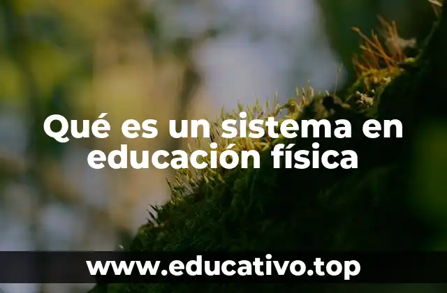 Qué es un sistema en educación física