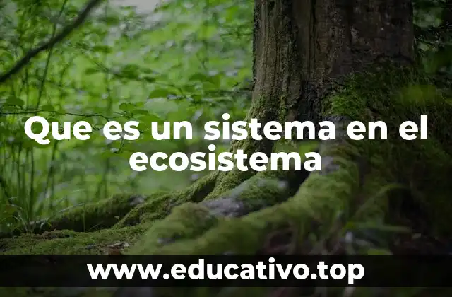 Que es un sistema en el ecosistema