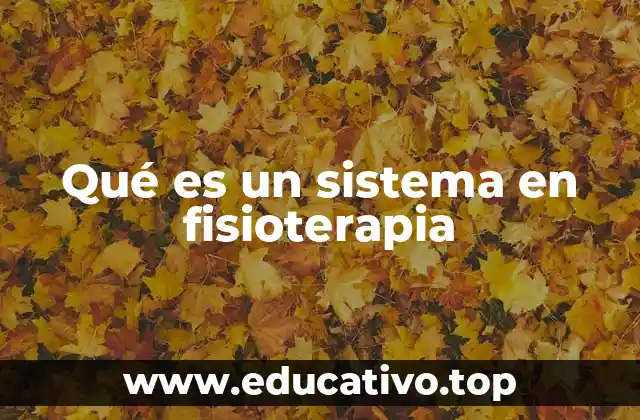 Qué es un sistema en fisioterapia