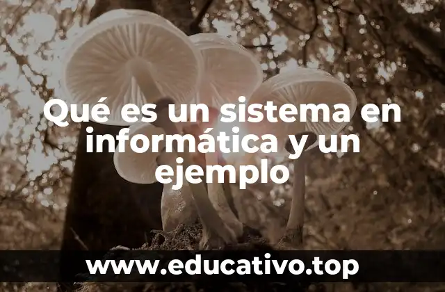 Qué es un sistema en informática y un ejemplo