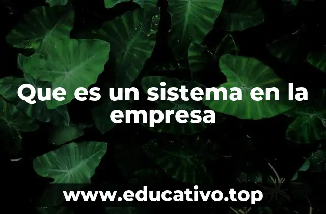 Que es un sistema en la empresa
