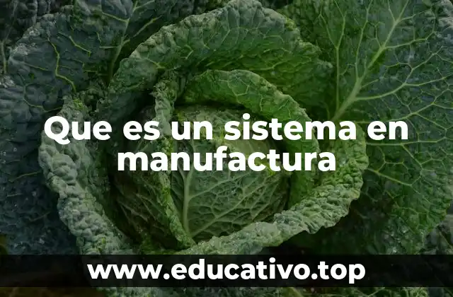 Que es un sistema en manufactura