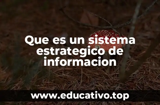 Que es un sistema estrategico de informacion