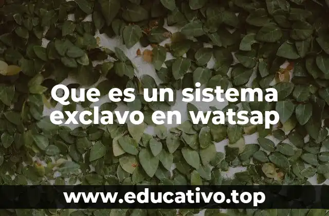 Que es un sistema exclavo en watsap