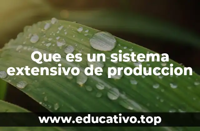Que es un sistema extensivo de produccion