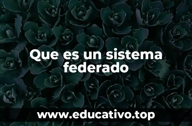 Que es un sistema federado