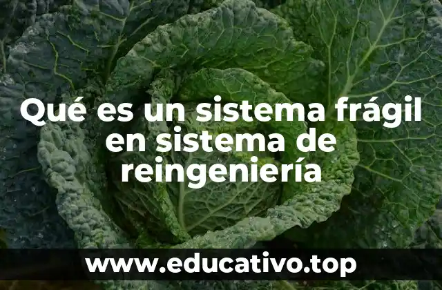 Qué es un sistema frágil en sistema de reingeniería