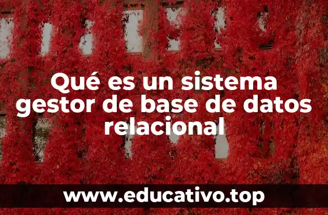 Qué es un sistema gestor de base de datos relacional