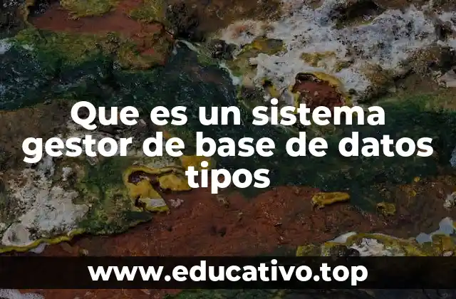 Que es un sistema gestor de base de datos tipos