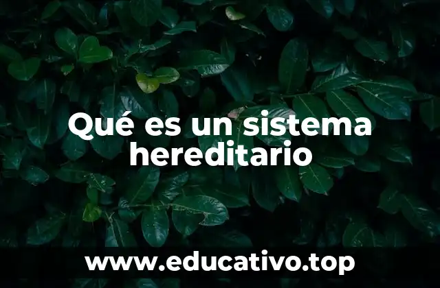 Qué es un sistema hereditario