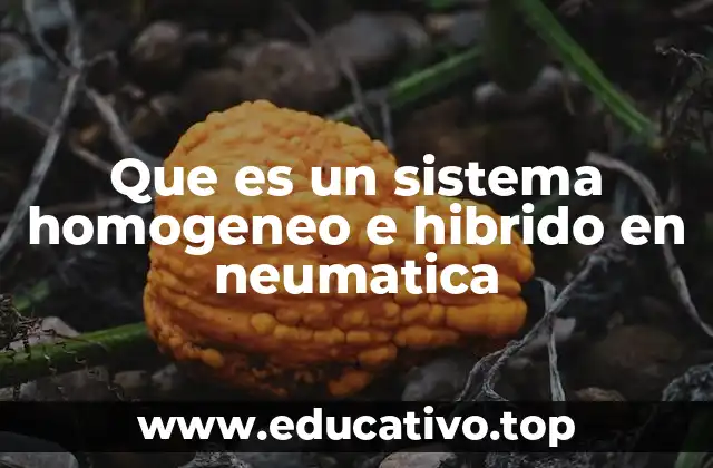 Que es un sistema homogeneo e hibrido en neumatica