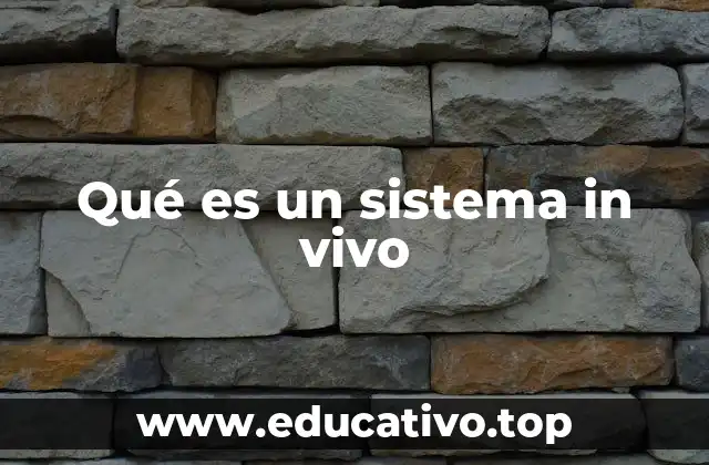 La importancia de los estudios en modelos vivos