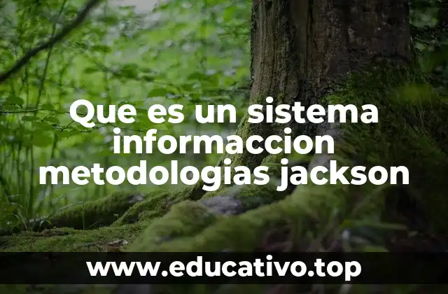 Que es un sistema informaccion metodologias jackson