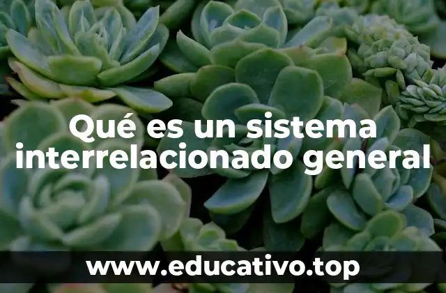 Qué es un sistema interrelacionado general