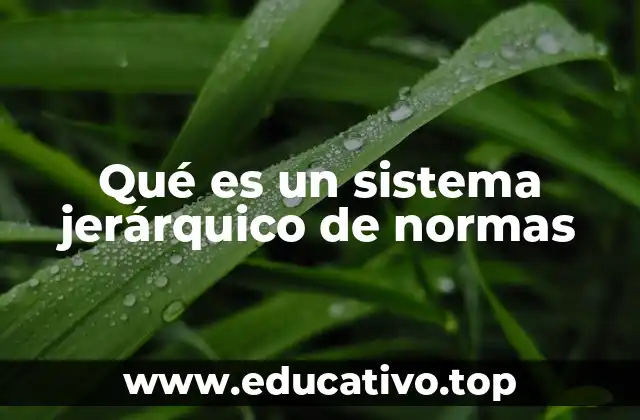 Qué es un sistema jerárquico de normas