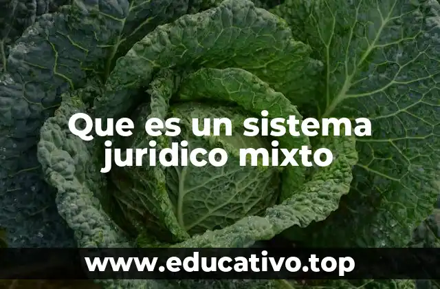 Que es un sistema juridico mixto