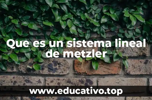 Que es un sistema lineal de metzler