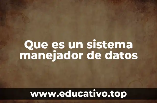 Que es un sistema manejador de datos