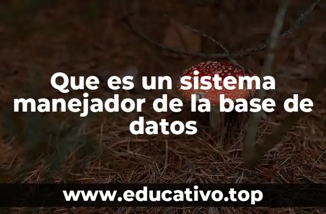 Que es un sistema manejador de la base de datos