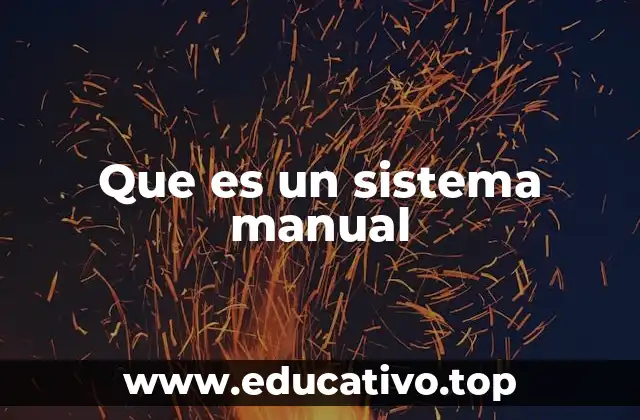 Que es un sistema manual