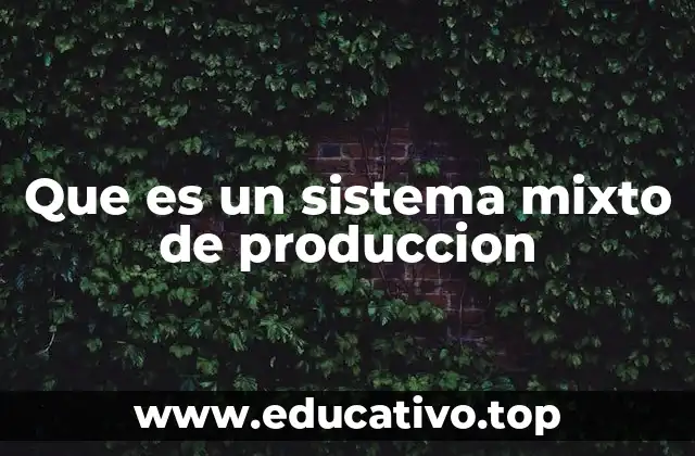 Que es un sistema mixto de produccion
