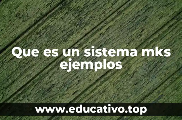 Que es un sistema mks ejemplos