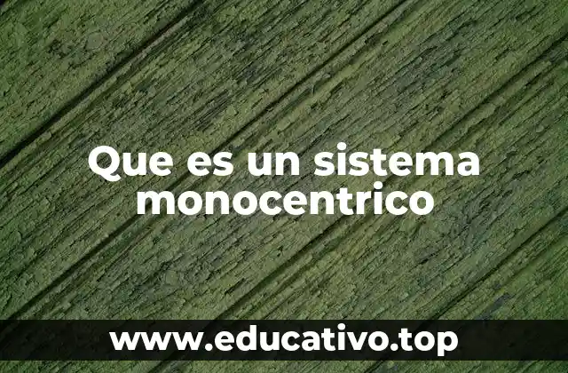 Que es un sistema monocentrico