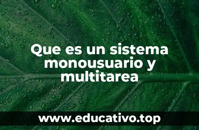 Que es un sistema monousuario y multitarea