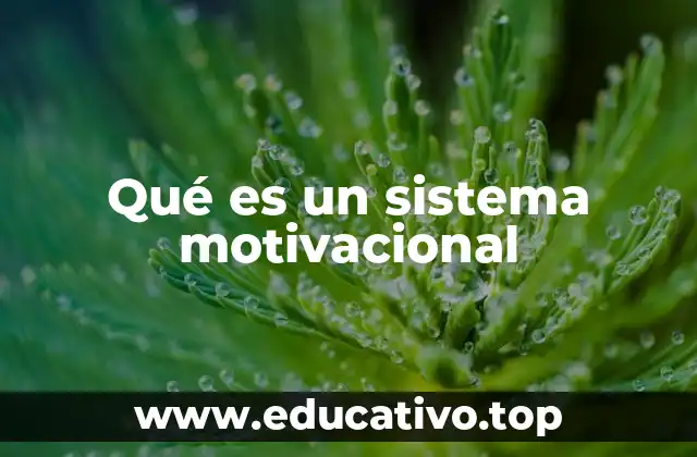 Qué es un sistema motivacional