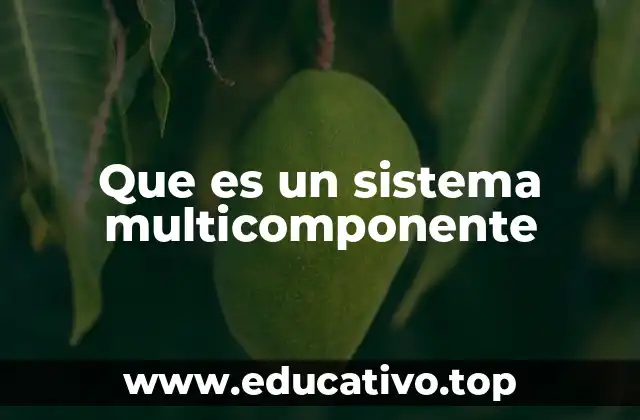 Que es un sistema multicomponente