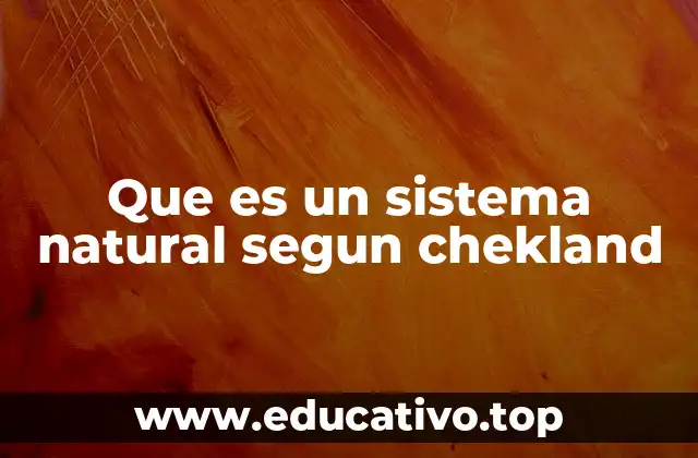 Que es un sistema natural segun chekland