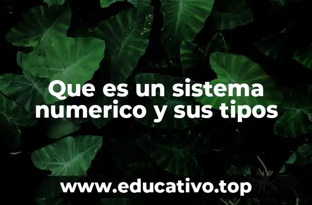 Que es un sistema numerico y sus tipos