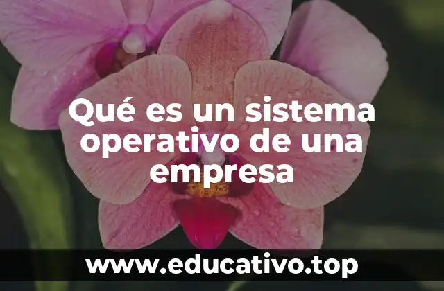 Qué es un sistema operativo de una empresa