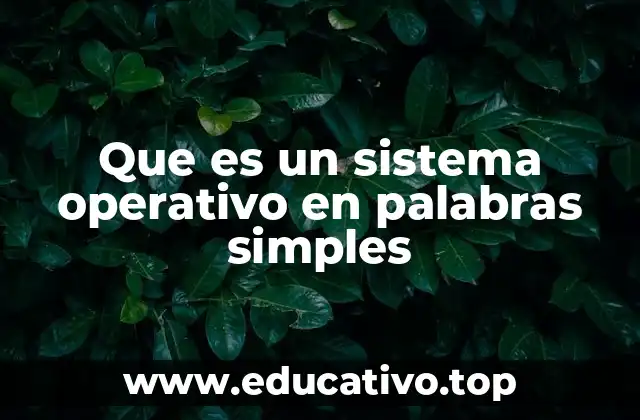 Que es un sistema operativo en palabras simples