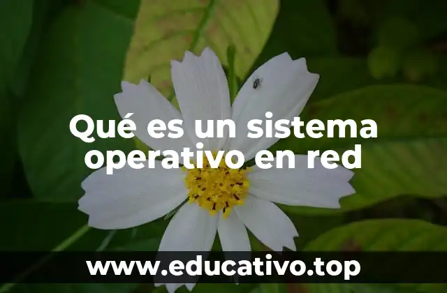 Qué es un sistema operativo en red