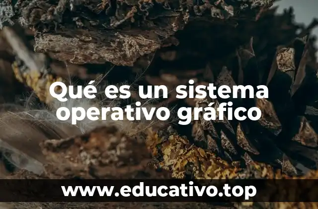 Qué es un sistema operativo gráfico