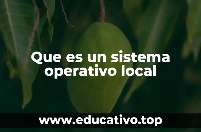 Que es un sistema operativo local