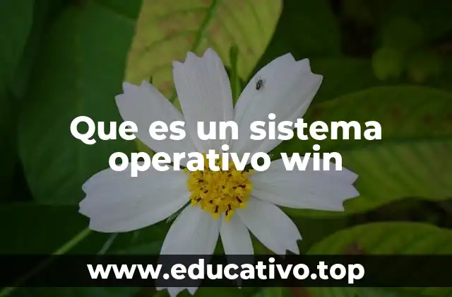 Que es un sistema operativo win