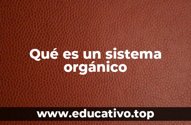 Qué es un sistema orgánico