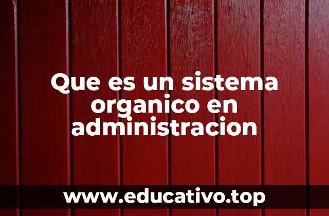 Que es un sistema organico en administracion