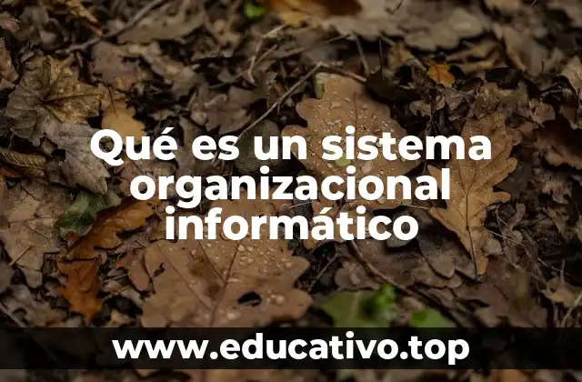 Qué es un sistema organizacional informático