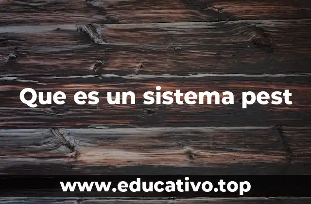 Que es un sistema pest