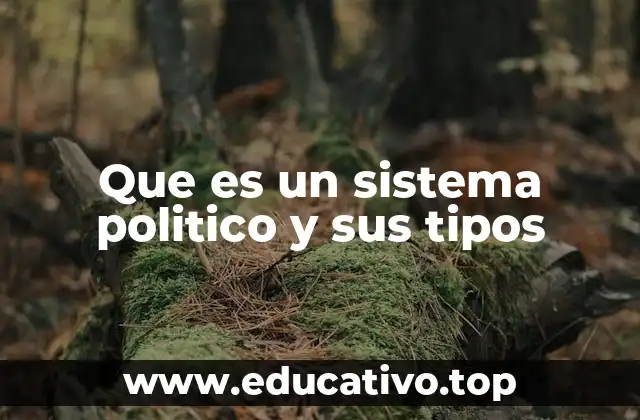 Que es un sistema politico y sus tipos