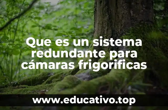 Que es un sistema redundante para cámaras frigorificas