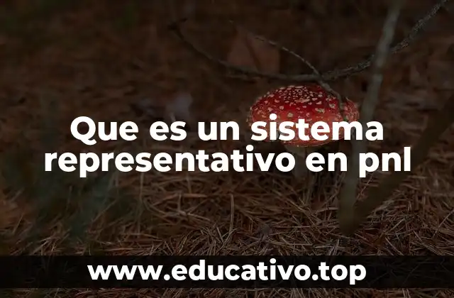 Que es un sistema representativo en pnl
