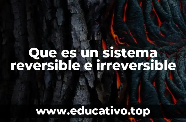 Que es un sistema reversible e irreversible
