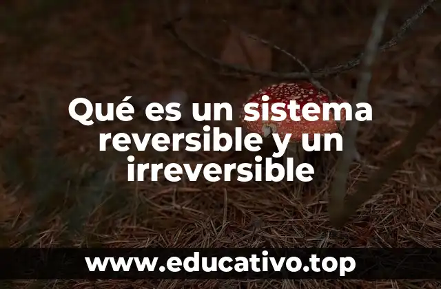 Qué es un sistema reversible y un irreversible